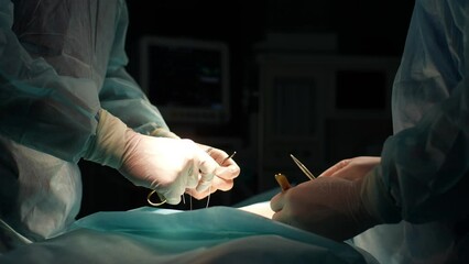 Close-up cropped shot of unrecognizable medical team of surgeons in hospital doing invasive surgical interventions. Closeup of surgeon and nurse use medical instrument or equipment in operating room. - Powered by Adobe