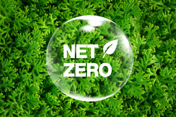 Net Zero text inside of bubble on green Selaginella fern leaves pattern in natural garden...