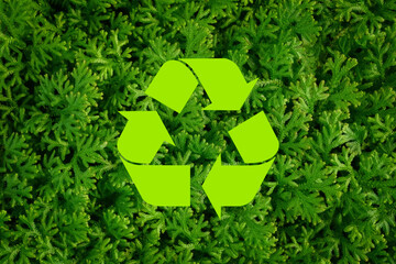 Recycle symbol on green Selaginella fern leaves pattern in natural garden background, wallpaper for conservation concept, sustainability corporation, waste management, World Environment Day.