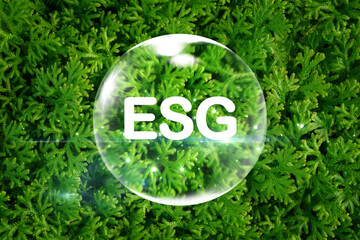 ESG text inside of bubble on green Selaginella fern leaves pattern in natural garden background,...