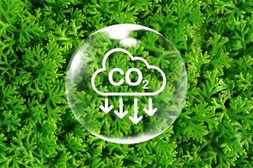 CO2 emission reduction sign inside of bubble on green Selaginella fern leaves pattern background...