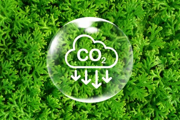 Fotobehang CO2 emission reduction sign inside of bubble on green Selaginella fern leaves pattern background for concept of environmental. global warming, climate change , carbon footprint, Greenhouse effect. © surasak