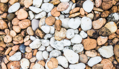 Rock, hard mineral material that forms part of the surface of the Earth and other similar planets. Which appears on the surface or under the ground or ocean and is used in decoration and architecture.