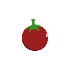 tomato vektor illustration