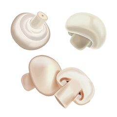 Champignon mushrooms