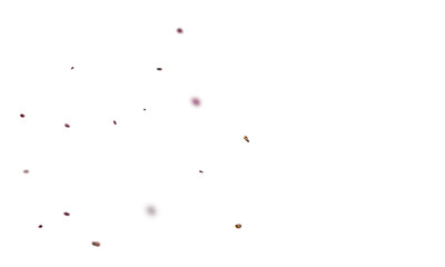 isolated ink splat beans png overly on white background
