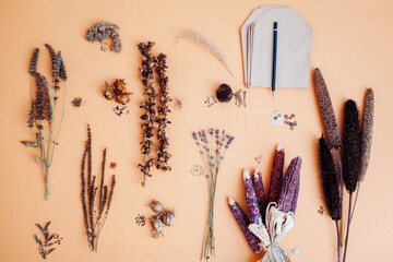 Top view of flower seeds variety. Collecting picked dry seedpods of foxglove veronica lavender...