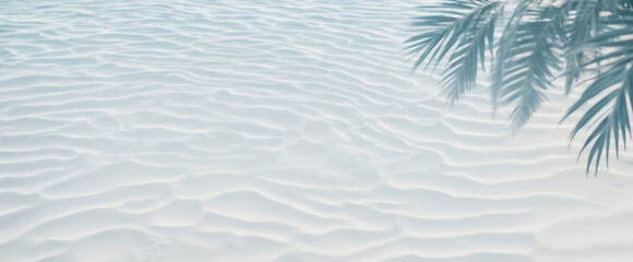 White sand with shadow of palm tree on the beach. Summer background.