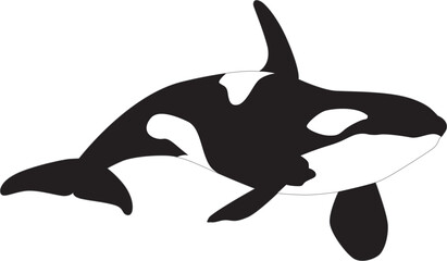 Vector iluustration of an orca whale © heitorjose