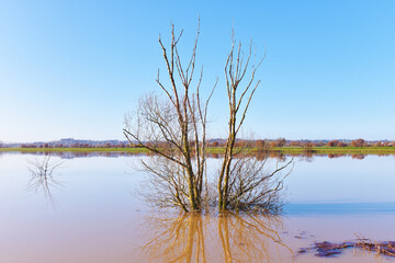 Allagamento alle Colmate di Brolio, Toscana