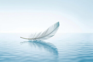 Bird sea background soft white water feather nature plumage fluffy blue light