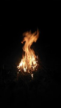 Night bonfire wood fire bonfire-night, campfire, wood-fire burning village-bonfire  bonfire-party backyard-bonfire winter-bonfire rural-bonfire le feu, holika dahan, hoguera, flamme video clip footage