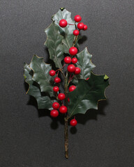 isolated mistletoe leaves christmas decoration branch