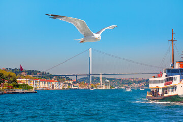 Fototapeta na wymiar Sea voyage with old ferry (steamboat) on the Bosporus - Ortakoy mosque and Bosphorus bridge - Istanbul, Turkey 