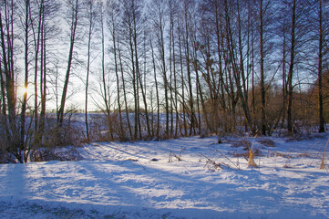 Krajobraz zimowy, drzewa i puch śnieżny.