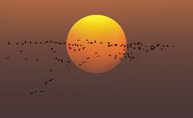 Migratory birds flying in the shape of V on the sunset sky.