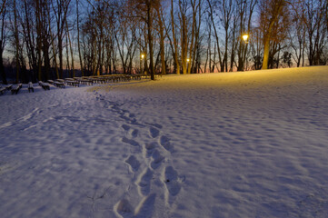 Ślady na śniegu w parku, wieczorny spacer. - obrazy, fototapety, plakaty