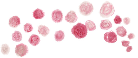 Watercolor floral background with pink roses. PNG transparent digitally hand painted illustration