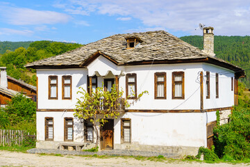 Fototapeta na wymiar Typical houses in the village Dolen