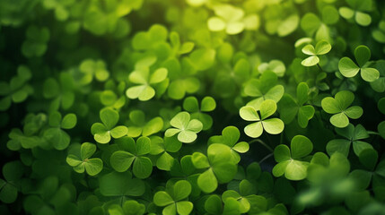 Lucky clover leaves for St. Patrick's Day. Banner with Irish clover leaves