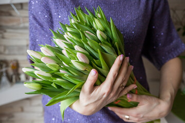 Young woman holding a spring bouquet of white pink tulips in her hand. Bunch of fresh cut spring flowers in female hands.Greeting card for March 8. The concept of congratulations and celebration.
