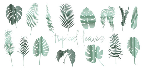 Colorful tropical leaves and palm trees, in flat composition style, plant elements, realistic and detailed illustration, various cut out silhouettes. - obrazy, fototapety, plakaty
