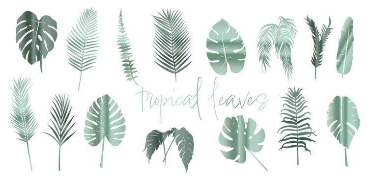 Colorful tropical leaves and palm trees, in flat composition style, plant elements, realistic and detailed illustration, various cut out silhouettes.