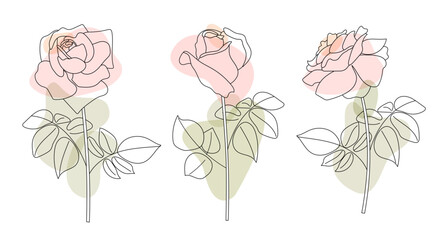 Set of rose flowers with leaves and steams in outline style with abstract pink organic shapes. Botanical vector illustration.	Minimalist hand drawn sketch. 