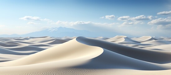 White sand dunes in desert - obrazy, fototapety, plakaty