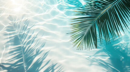 Fototapeta na wymiar Reflection of Palm Tree in Water