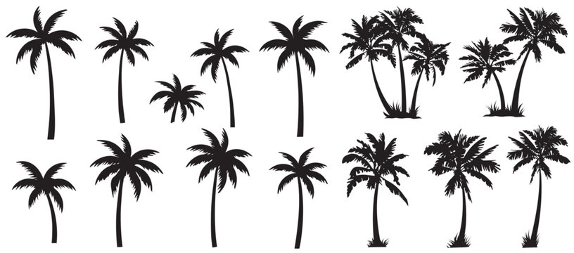 Black palm tree set vector illustration isolated on white background silhouette art black white stock illustration logo icon png. tropical, beach, landscape, pattern, paradise, coconut background