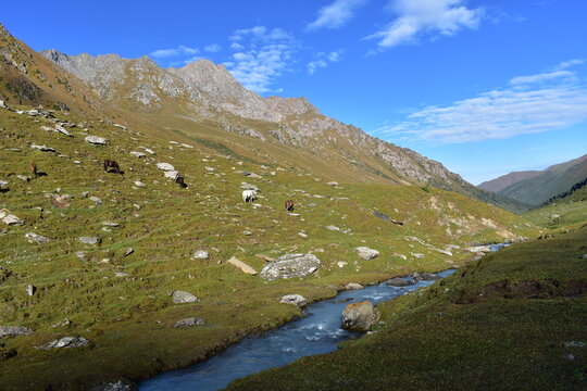 Nature of Kyrgistan
