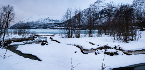 Norway, winter - 706618137
