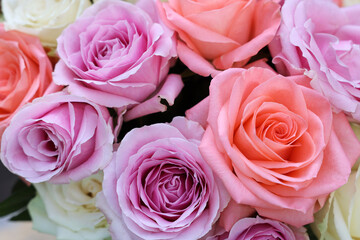 Beautiful bouquet of aromatic roses as background, closeup