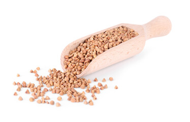 Scoop with dry buckwheat isolated on white