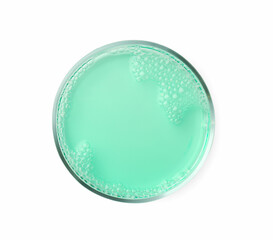 Petri dish with turquoise liquid sample on white background, top view