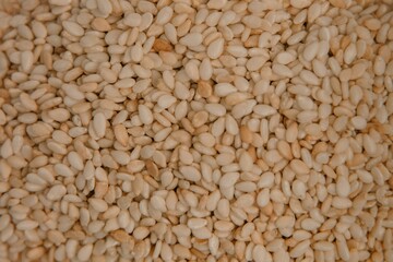 sesame seeds. Pile of white sesame seeds as background, top view