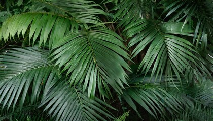 closeup nature view of green leaf and palms background flat lay dark nature concept tropical leaf