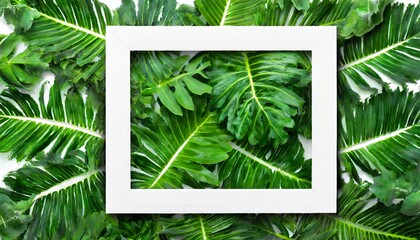 tropical green leaves with white frame nature flat lay concept