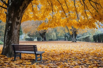 Lonely bench under a canopy of golden autumn leaves