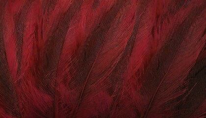 beautiful dark red feather pattern texture background