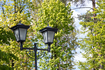 Retro lantern on the background of trees