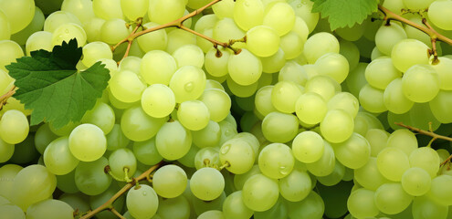bunch of green grapes