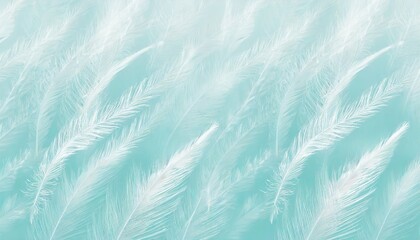 beautiful white color trends feather pattern texture pastel blue turquoise background