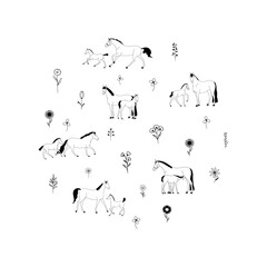 Horses, herbs and wildflowers. Black and white vector illustration