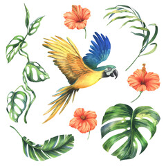 Tropical palm leaves, monstera and flowers of plumeria, hibiscus, bright juicy with blue-yellow macaw parrot. Hand drawn watercolor botanical illustration. Set of elements isolated from the background © NATASHA-CHU