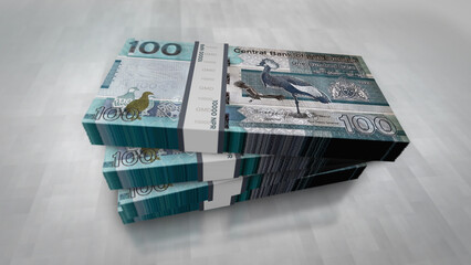 Gambia dalasi money banknotes pack 3d illustration