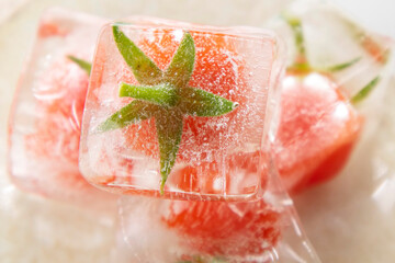 Photographic shot of some tomatoes inside ice cube
