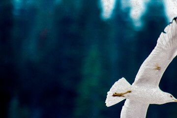 Artistically & Creatively Posed Seagull Soaring over a Lake with Tree Covered Forest in Background (filtered photo) With Texture for A Billboard, Border, Background, Backdrop, or Wallpaper
