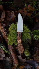 Ein handgeschmiedetes Messer mit einem Griff aus gestockter Birke in einer bewaldeten Kulisse